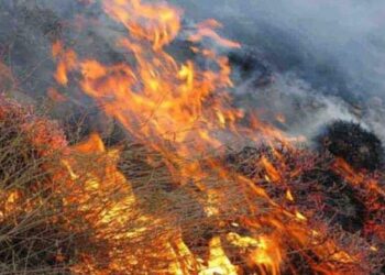 عوامل انسانی علت ۹۰ درصد آتش‌سوزی های طبیعت