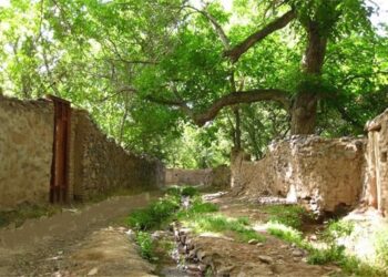 تخریب 38 سازه غیر مجاز و سپرده شدن حفاظت از باغ ها به یک قرارگاه