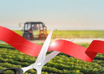 48 طرح کشاورزی در فارس به بهره برداری می رسد