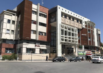 قدوسی غربی دیگر کشش افزایش قیمت را ندارد! 8 قدوسی غربی دیگر کشش افزایش قیمت را ندارد!