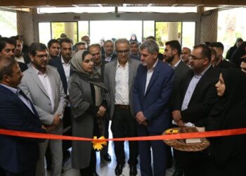 اضافه شدن گمرکات استان به گمرکات تخصصی کشور 3 اضافه شدن گمرکات استان به گمرکات تخصصی کشور