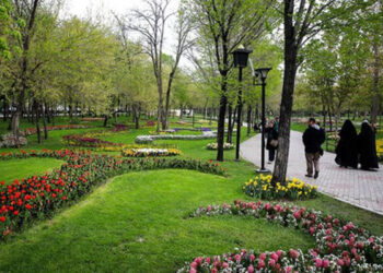 تبدیل باغ به پارک عمومی، طرحی نو در شهردرای منطقه یک شیراز