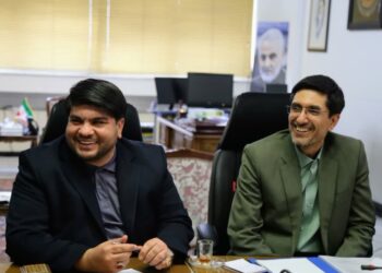 لازمه انجام کار متنوع و پیچیده؛ظرافت اجرایی و درایت منطقی