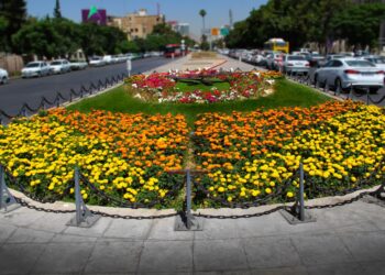 کاشت 22 هزار نشاء فصلی در سطح منطقه یک شیراز 1 کاشت 22 هزار نشاء فصلی در سطح منطقه یک شیراز