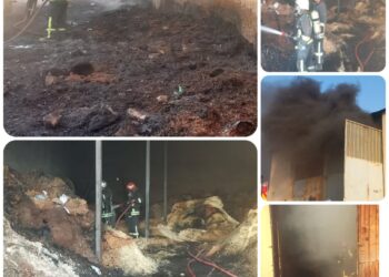 اطفاء حریق کارگاه چوب هزار متری در روستای گچی