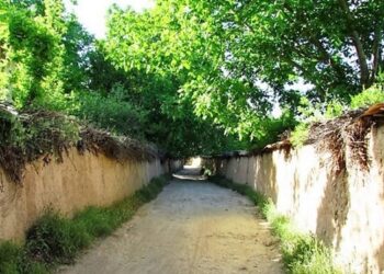 روند صدور مجوز تغییر کاربری باغ ها کندتر شده است 4 روند صدور مجوز تغییر کاربری باغ ها کندتر شده است