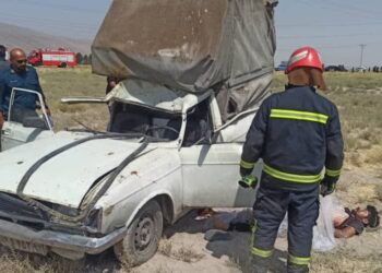 برخورد شتر با خودرو پیکان بار در جاده ظفرآباد 1 برخورد شتر با خودرو پیکان بار در جاده ظفرآباد