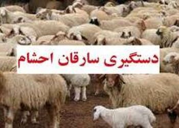 دستگیری اعضای باند سارقان سابقه‌دار احشام  در شیراز