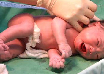 تولد فرزند سالم از والدین بیمار در شیراز