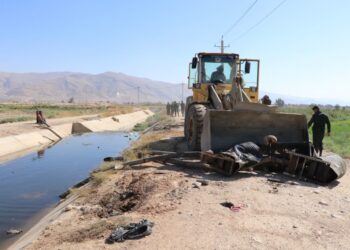 مزارع آلوده به فاضلاب خام در شیراز امحاء شد