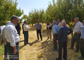 اجرای موفقیت آمیز طرح غیر شیمیایی کنترل آفت کرم سیب