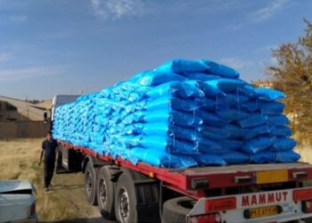 توزیع 7253 تن کود شیمیایی سهمیه صیفی در مرودشت 1 توزیع 7253 تن کود شیمیایی سهمیه صیفی در مرودشت