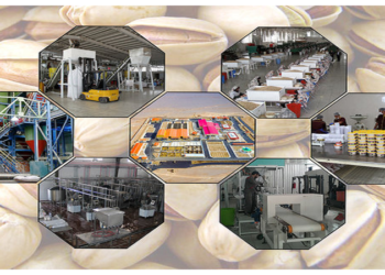 توسعه صنایع کشاورزی فارس نیازمند مشارکت سرمایه‌گذاران ایرانی مقیم خارج از کشور است