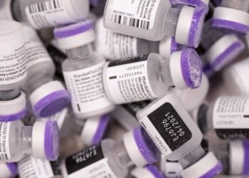 2 شبکه قاچاق واکسن در شیراز منهدم شد