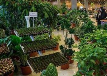 برگزاری نمایشگاه گل وگیاه و تجهیزات گلخانه ای در پاییز شیراز 1 برگزاری نمایشگاه گل وگیاه و تجهیزات گلخانه ای در پاییز شیراز