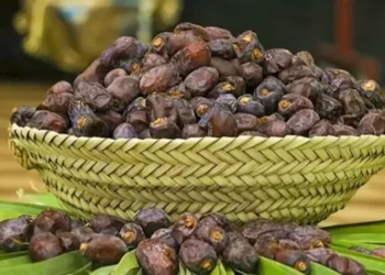 جشنواره خرما در شیراز