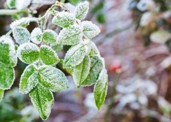 هوای سردتر در انتظار فارس 1 هوای سردتر در انتظار فارس