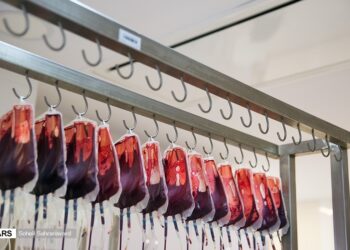 نیاز انتقال خون استان فارس به همه گروه های خونی