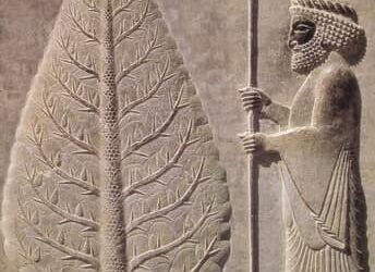 کاشت درخت نوروز در مجموعه جهانی تخت جمشید 2 کاشت درخت نوروز در مجموعه جهانی تخت جمشید