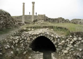 کاشت گل نرگس در میراث جهانی بیشاپور کذب است 3 کاشت گل نرگس در میراث جهانی بیشاپور کذب است