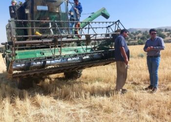 بیش از ۱۷ هزار هکتار گندم سپیدان برداشت می شود 4 بیش از ۱۷ هزار هکتار گندم سپیدان برداشت می شود