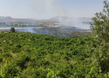 آتش بر جان اراضی کشاورزی شهرستان بیضا 1 آتش بر جان اراضی کشاورزی شهرستان بیضا
