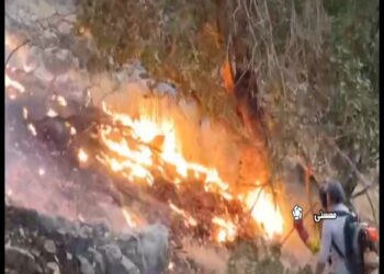 مهار آتش در مراتع ممسنی فارس 3 مهار آتش در مراتع ممسنی فارس