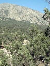 مهار آتش سوزی در منطقه حفاظت شده ماله گاله 3 مهار آتش سوزی در منطقه حفاظت شده ماله گاله