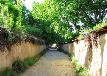 ابلاغ تشکیل «ناحیه ویژه باغات» شیراز توسط وزارت کشور برای اولین‌بار در ایران