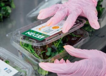 صدور 1370 مجوز حمل محصولات سبزی و صیفی از فارس