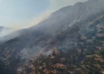 مشارکت نیروهای محیط زیست شیراز در اطفای حریق کوهمره سرخی 4 مشارکت نیروهای محیط زیست شیراز در اطفای حریق کوهمره سرخی