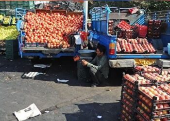 ساماندهی میوهفروشان سیار، مستمر انجام میشود 1 ساماندهی میوهفروشان سیار، مستمر انجام میشود