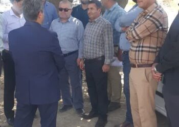 تیغ کمربندی از زیر گلوی درختان بلوط برداشته شد 4 تیغ کمربندی از زیر گلوی درختان بلوط برداشته شد