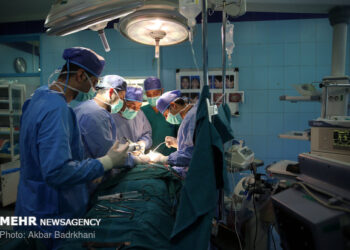 انجام قریب به ۹۰۰ عمل پیوند اعضا در شیراز از ابتدای سال جاری 9 انجام قریب به ۹۰۰ عمل پیوند اعضا در شیراز از ابتدای سال جاری