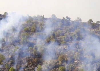 آتش در منطقه ماله گله به طور کامل مهار شد. 8 آتش در منطقه ماله گله به طور کامل مهار شد.