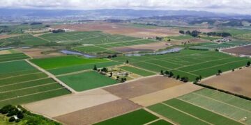 اراضی فارس تنها به کارآفرینان واقعی می رسد 34 اراضی فارس تنها به کارآفرینان واقعی می رسد