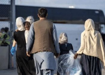 فارس پیشتاز در مهار جمعیت مهاجران غیرمجاز /گام تازه دولت برای بازآرایی نقشه مهاجرت ملی 1 فارس پیشتاز در مهار جمعیت مهاجران غیرمجاز /گام تازه دولت برای بازآرایی نقشه مهاجرت ملی