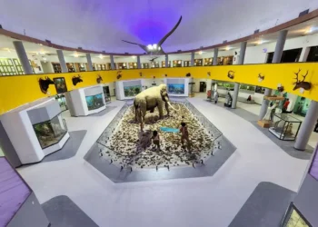 شیراز؛ سرزمین فسیل‌ها و سنگ‌های سخنگو