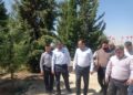 آینده تفریحی شیراز در کوه نور؛ زیرساخت‌ها برای سرمایه‌گذاری آماده می‌شوند